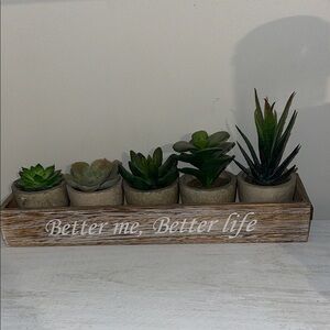 Succulent Planter Set in Wooden Tray